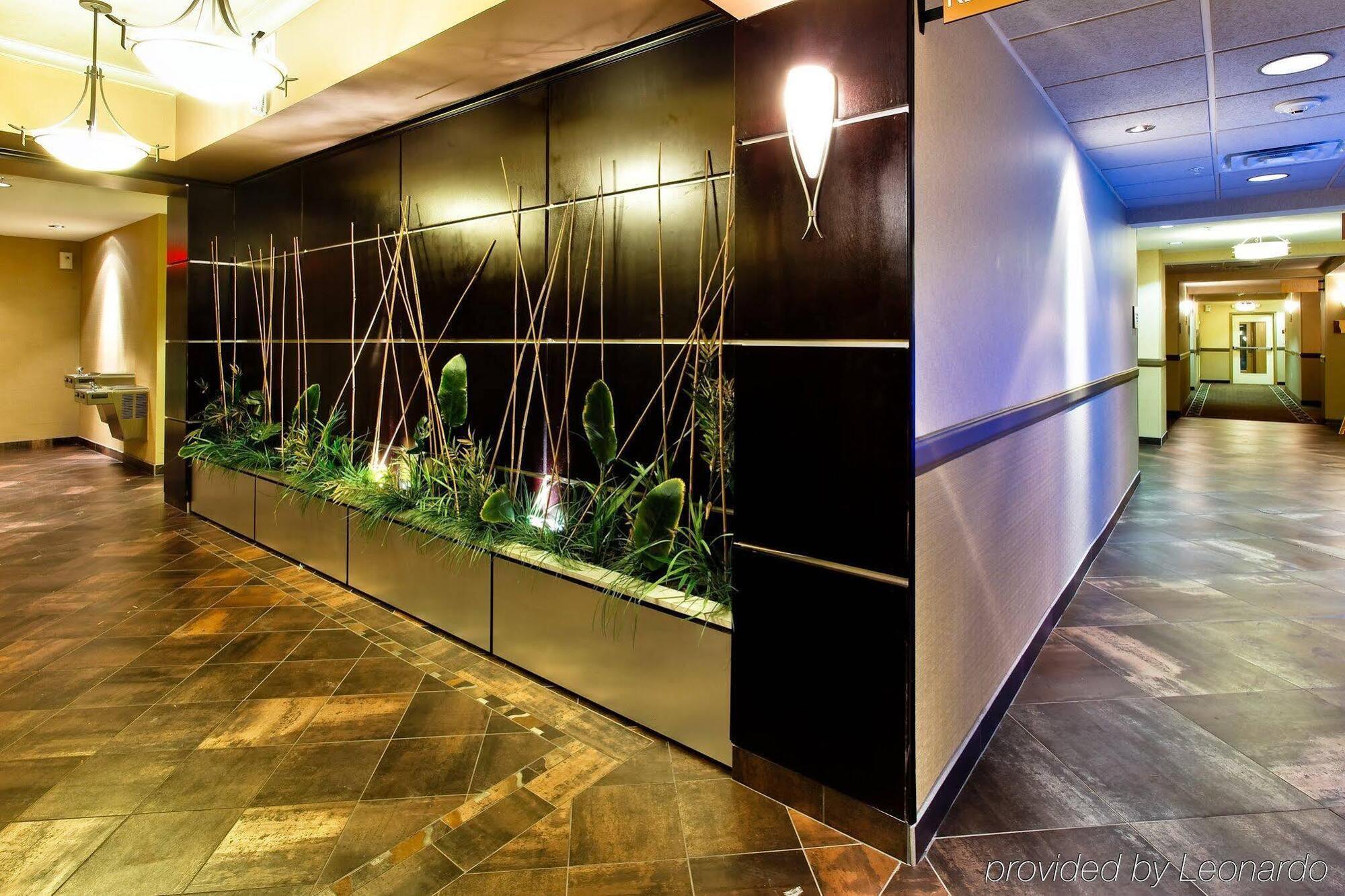 Holiday Inn Express Hotel & Suites Dallas South - Desoto By Ihg DeSoto Exterior foto
